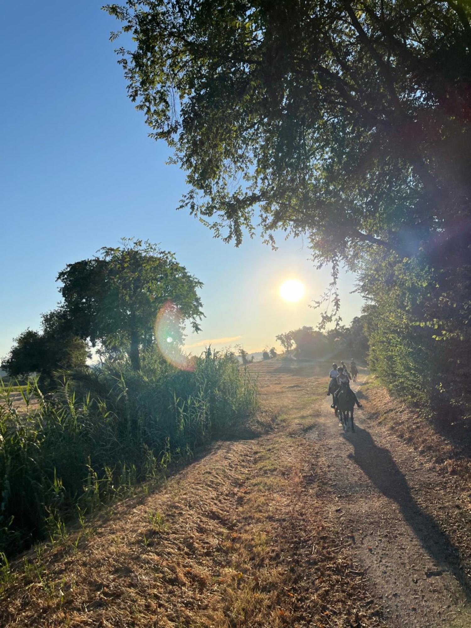 Agriturismo Hornos Нумана Экстерьер фото