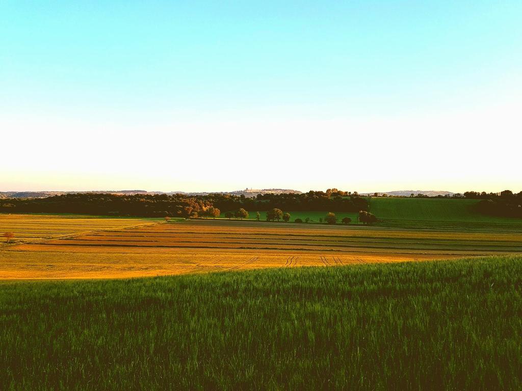 Agriturismo Hornos Нумана Экстерьер фото